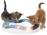 Catit 50735 Senses Tempo - Spielschiene f&Atilde;&frac14;r Katzen