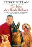 Du bist der Rudelf&Atilde;&frac14;hrer: Wie Sie die Erfahrungen des Hundefl&Atilde;&frac14;sterers f&Atilde;&frac14;r sich und Ihren Hund nutzen