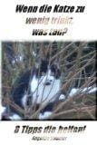Wenn die Katze zu wenig trinkt, was tun?: 8 Tipps die helfen! -Versprochen (Hund + Katz) Wenn die Katze zu wenig trinkt, was tun?: 8 Tipps die helfen! -Versprochen (Hund + Katz)
