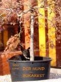 Der Hund von Bukarest Der Hund von Bukarest