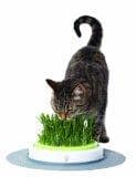 Catit 50755 Senses Grasgarten f&Atilde;&frac14;r Katzen